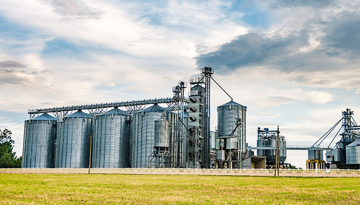 Industrial Silos Silistea